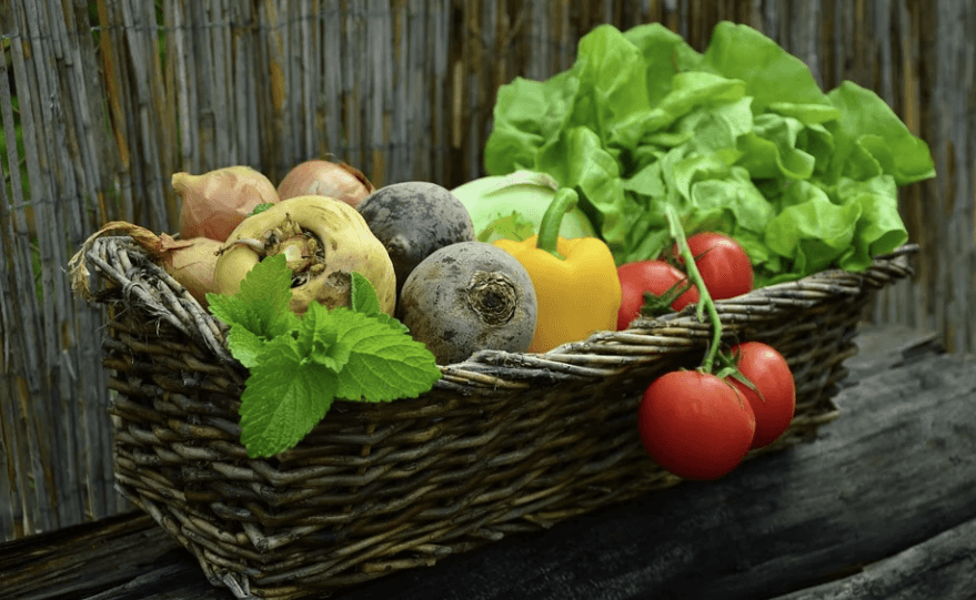 Soigner sa santé par l'alimenation