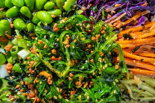 algue wakame bien faits (6)