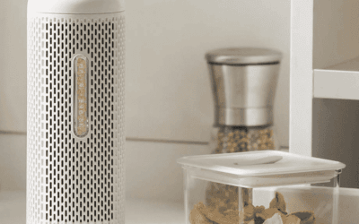 Absorbeur dhumidité – les beinfaits pour la santé