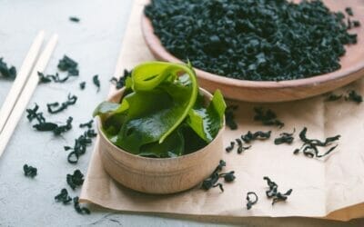 L&rsquo;algue Wakame pour la grossesse ? Tout savoir sur les bienfaits