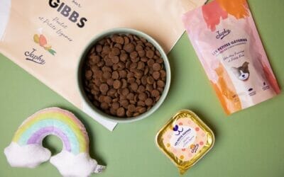 Meilleure croquette pour chien : Croquette japhy notre avis