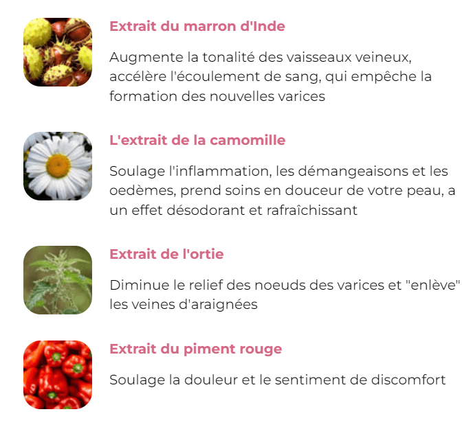 composition veniselle