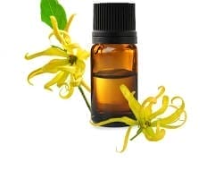 Image de Huile essentielle d'ylangylang