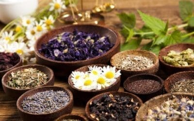 Les Bienfaits des Plantes à Fumer : Des Vertus Naturelles