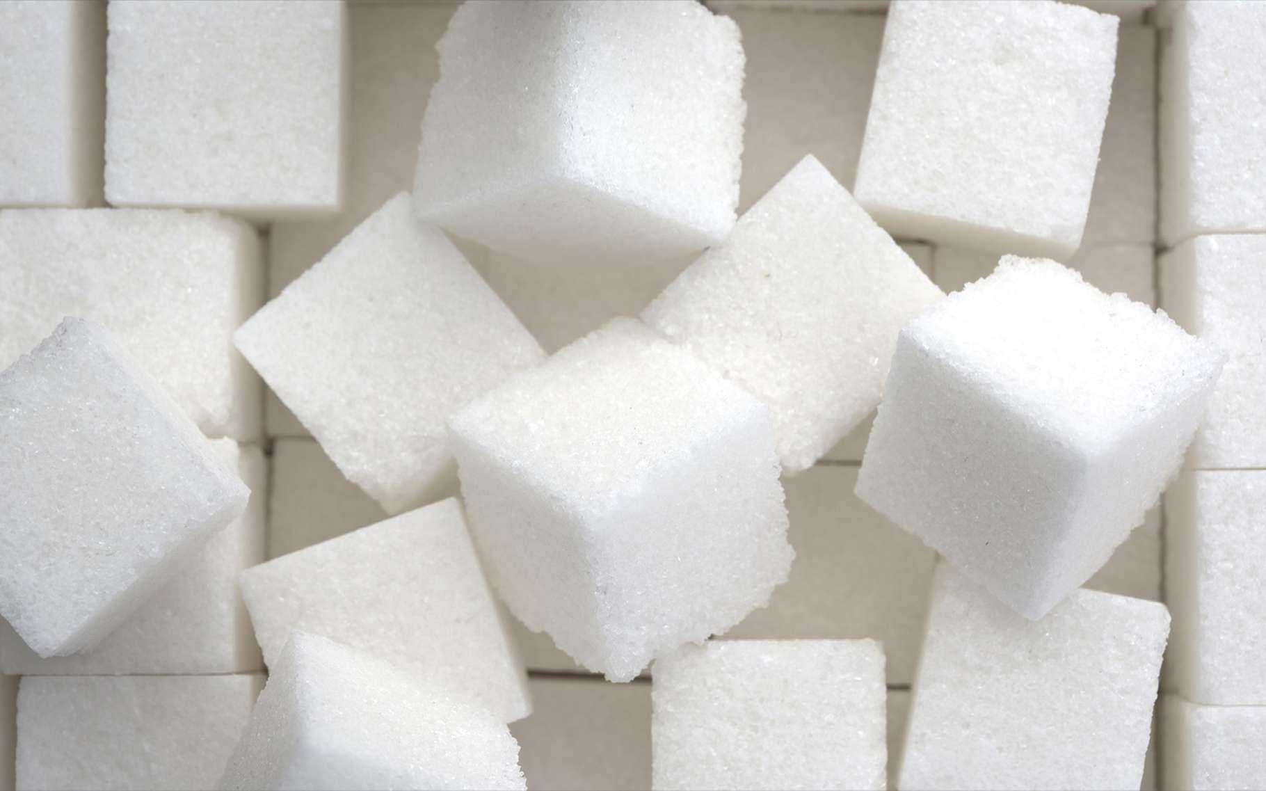 sucre blanc saccharose 