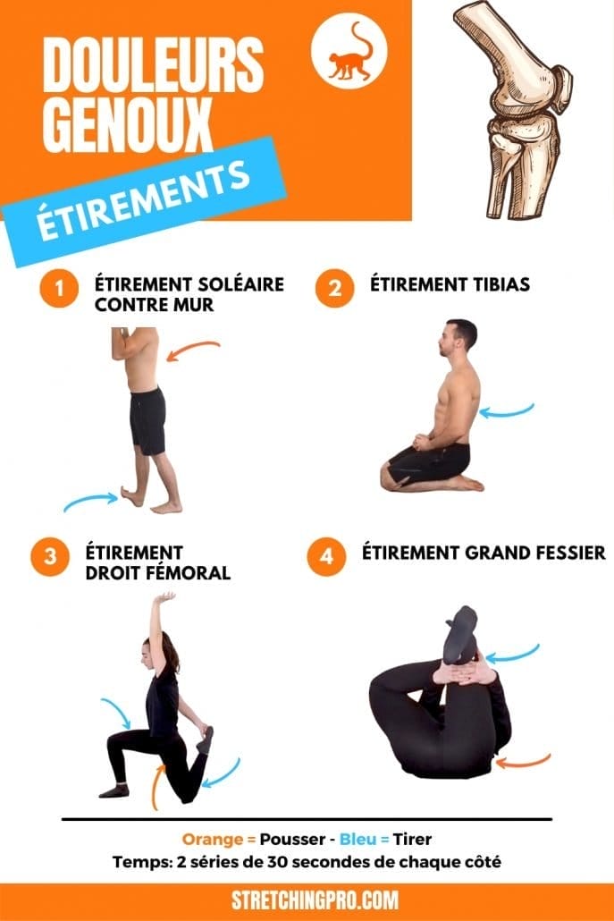 Exercices d’étirement et de mobilité genou