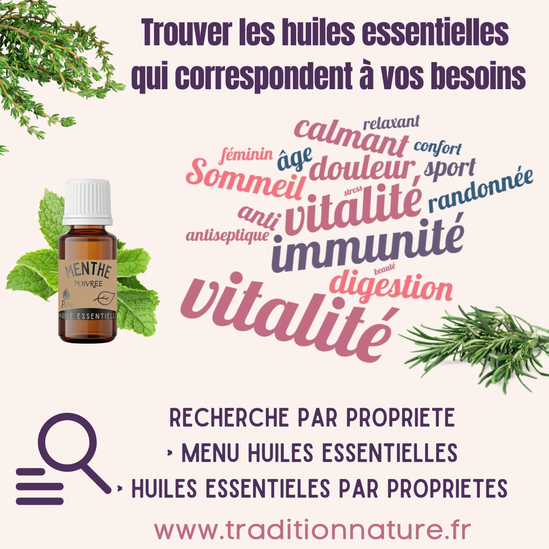 Propriétés thérapeutiques 'huile essentielle d'eucalyptus