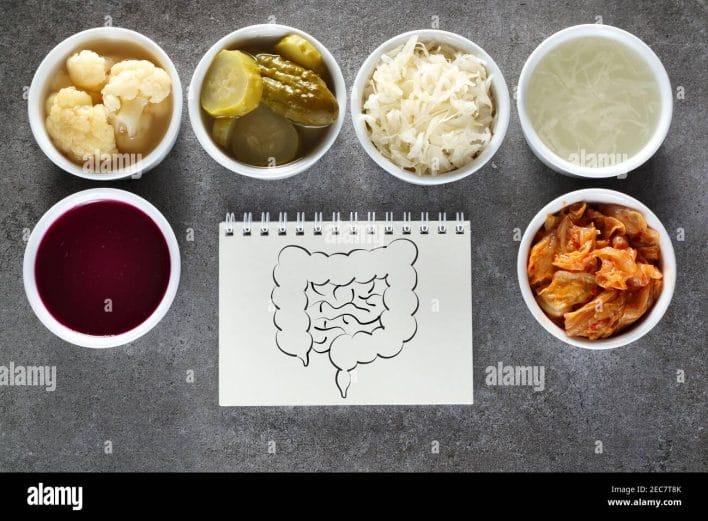 aliments probiotiques naturels